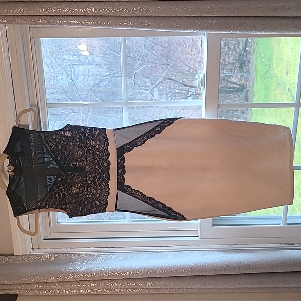 Lace and mesh dress